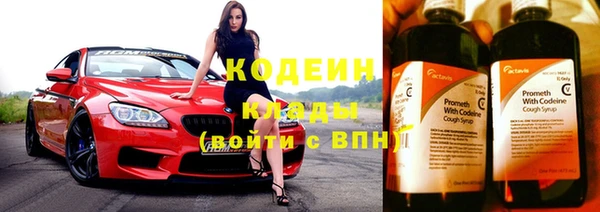 прущие грибы Киреевск