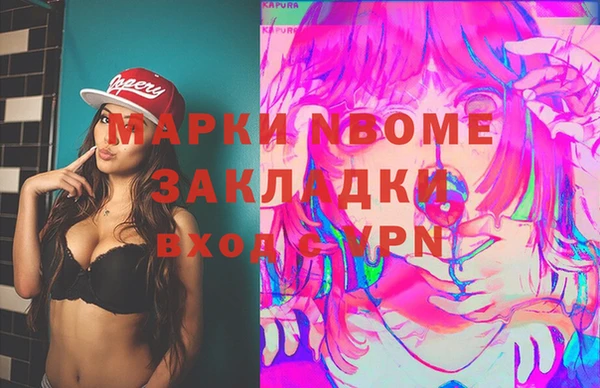 сатива Каменногорск
