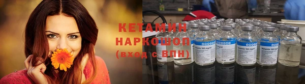 сатива Каменногорск