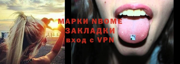 сатива Каменногорск