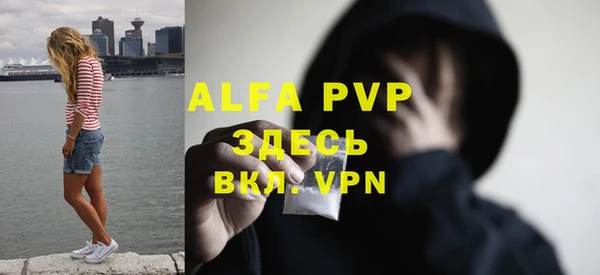 дурь Карпинск