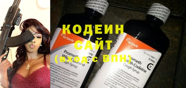 крисы Иннополис