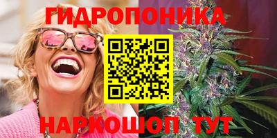 стаф Новозыбков