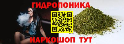 стаф Новозыбков