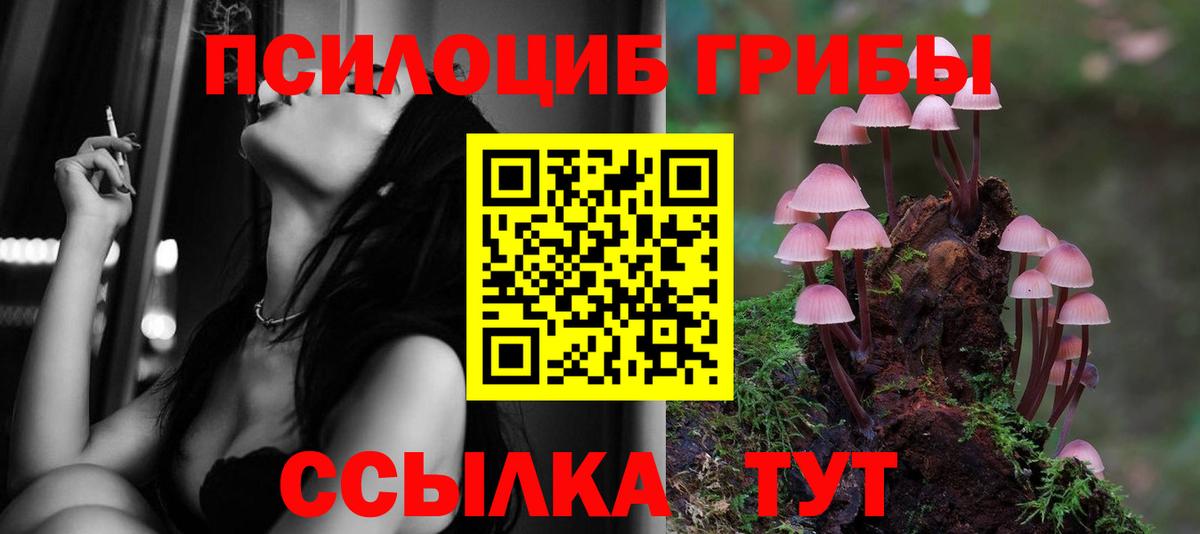 Галлюциногенные грибы MAGIC MUSHROOMS Киржач
