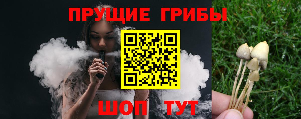 Киржач  Галлюциногенные грибы Psilocybine cubensis  Вход с VPN 